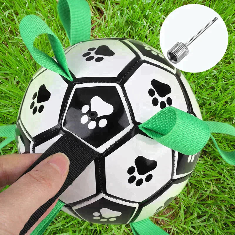 Dog Soccer Ball Petritzy