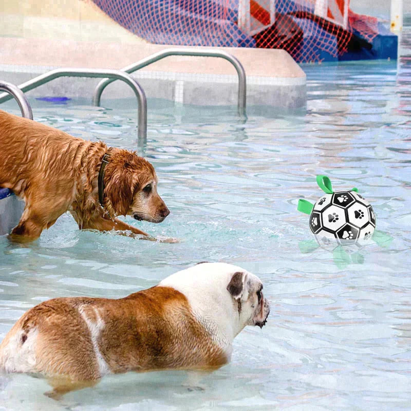 Dog Soccer Ball Petritzy