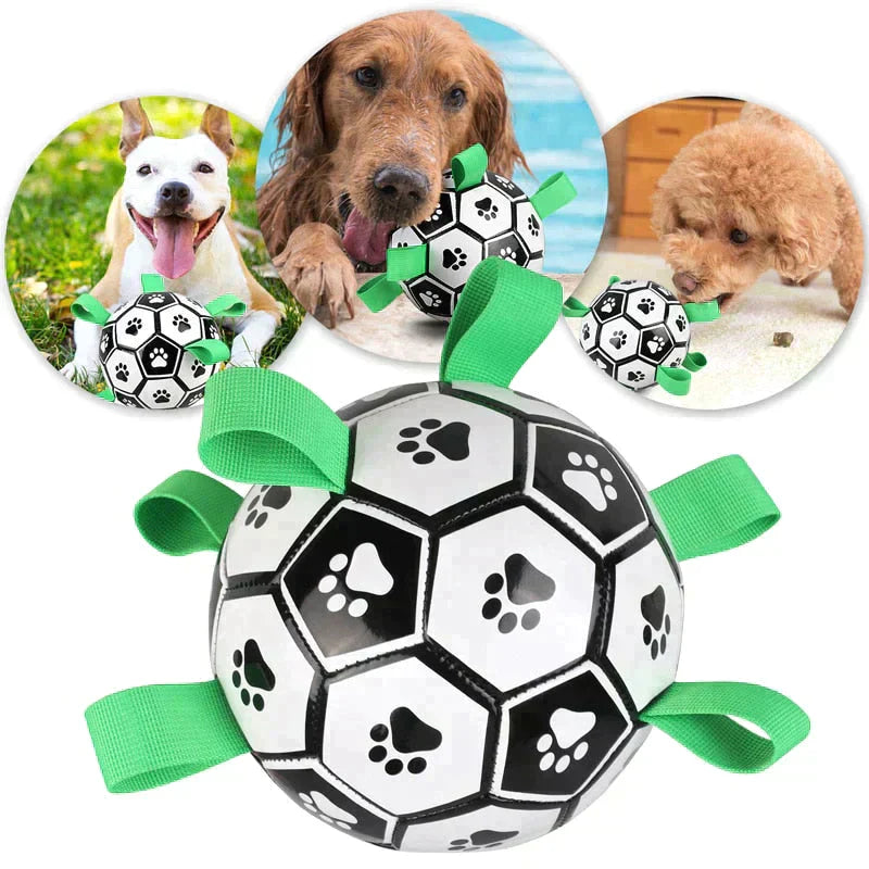 Dog Soccer Ball Petritzy