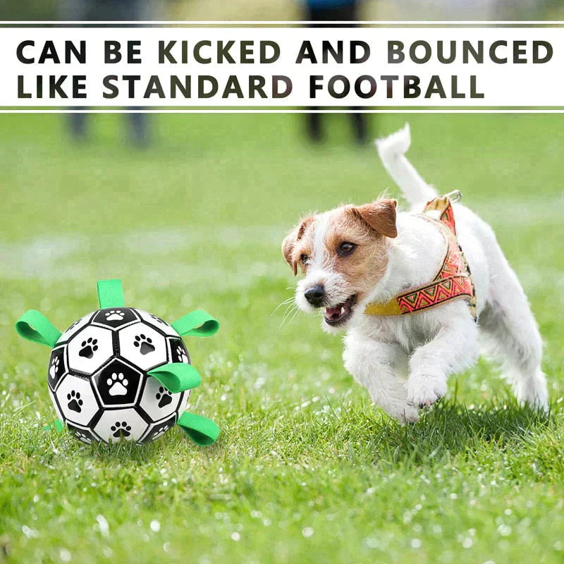 Dog Soccer Ball Petritzy
