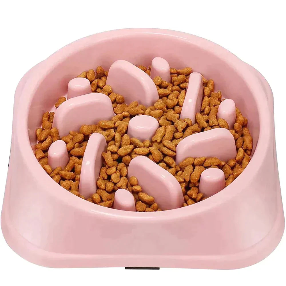 Pet Slow Feeder Bowl Petritzy