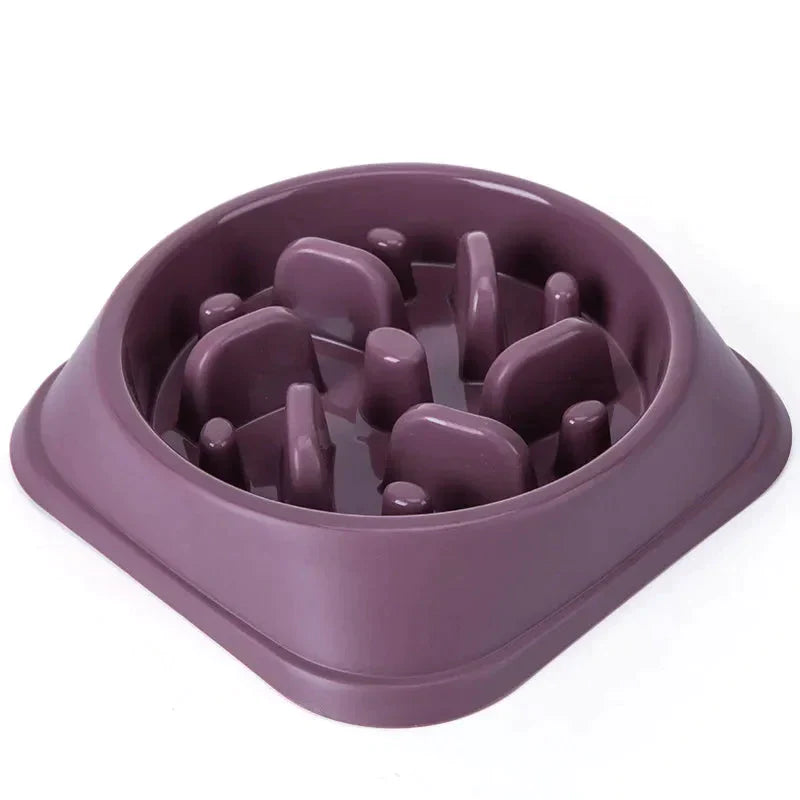 Pet Slow Feeder Bowl Petritzy
