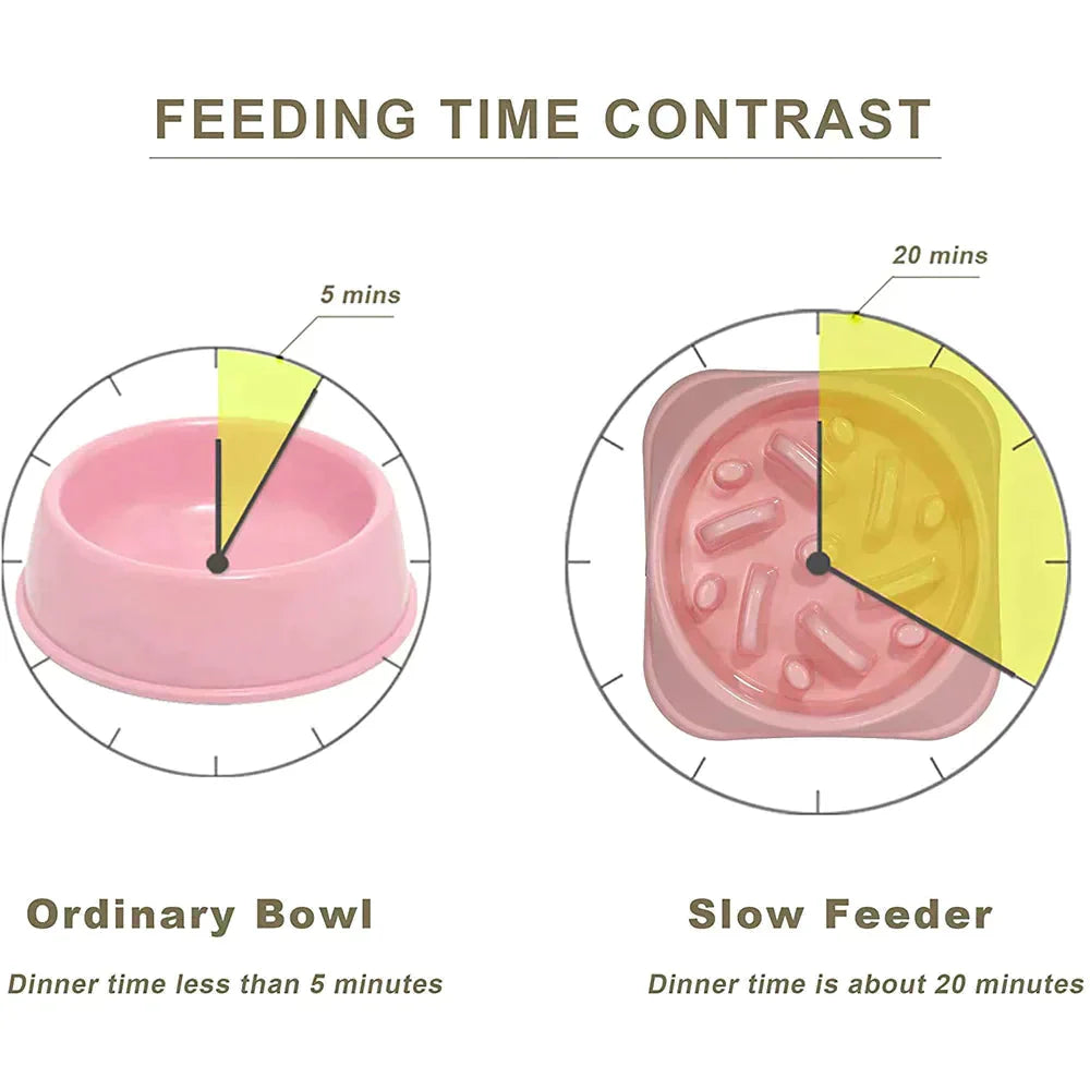 Pet Slow Feeder Bowl Petritzy