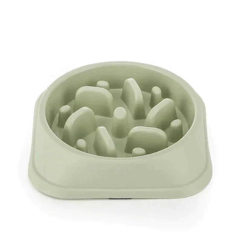 Pet Slow Feeder Bowl Petritzy