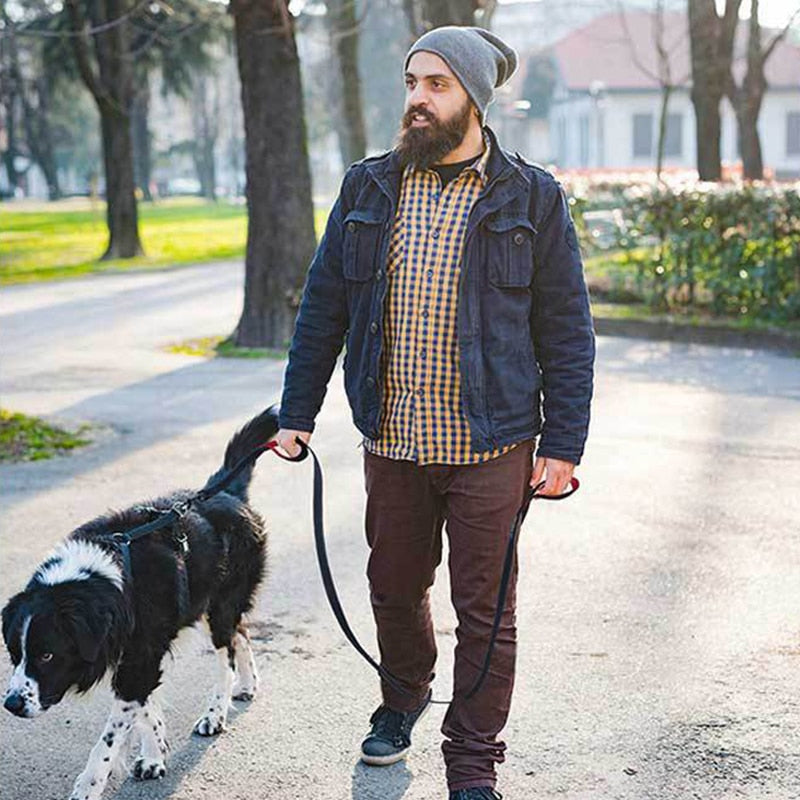 Dual Handle Reflective Dog Leash