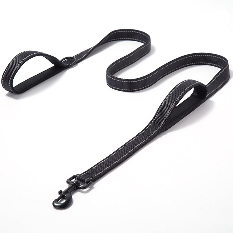 Dual Handle Reflective Dog Leash