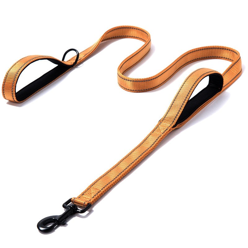 Dual Handle Reflective Dog Leash