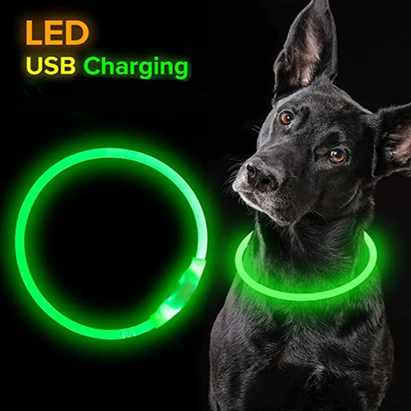Luminous Glowing Dog Collar