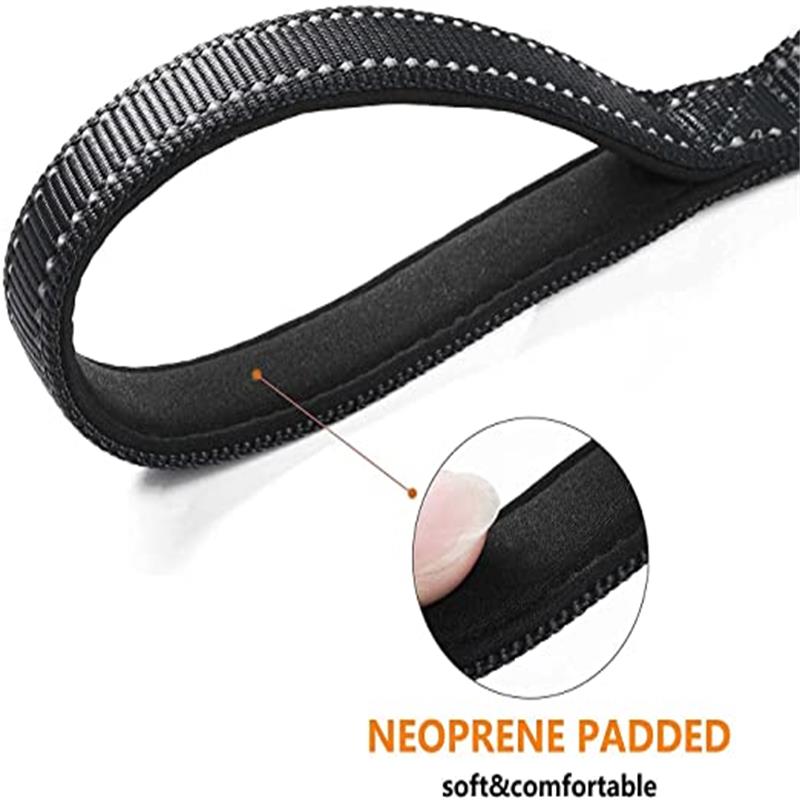 Dual Handle Reflective Dog Leash