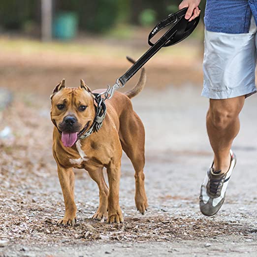 Dual Handle Reflective Dog Leash