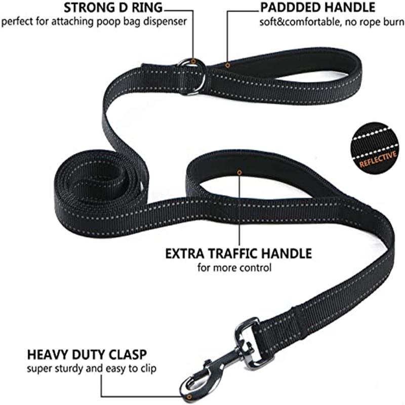 Dual Handle Reflective Dog Leash