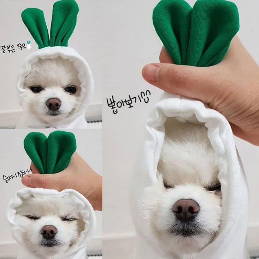 Cute Plush Hoodies