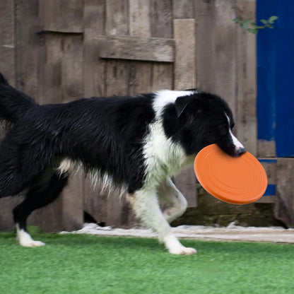 Flying Saucer Funny Dog Toy