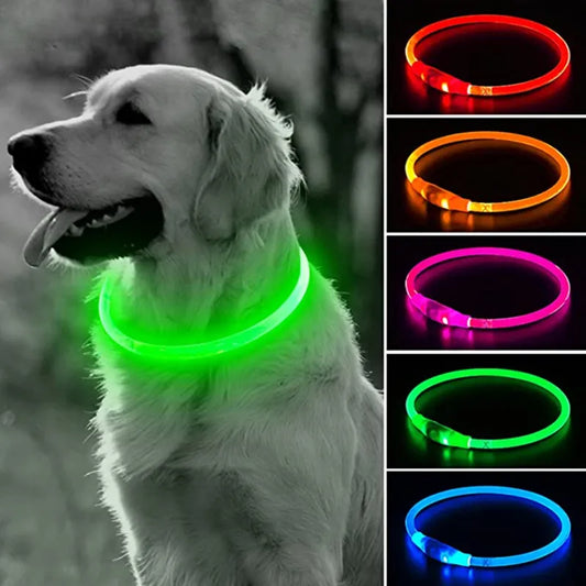 Luminous Glowing Dog Collar