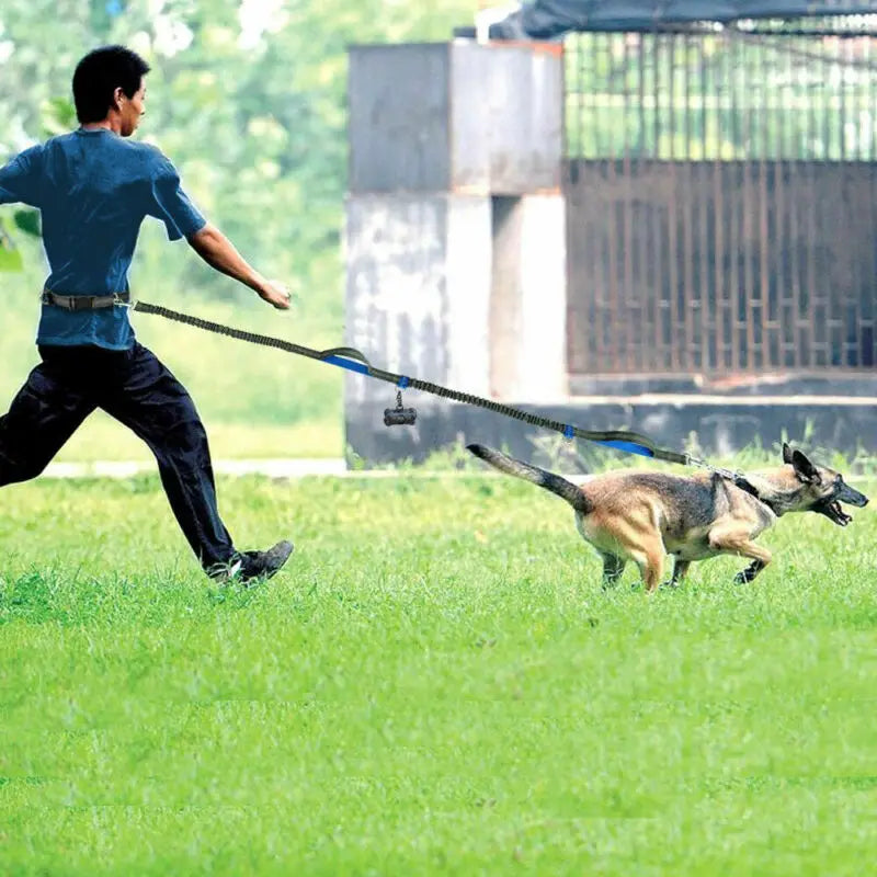 Dog Running Reflective Leash Harness