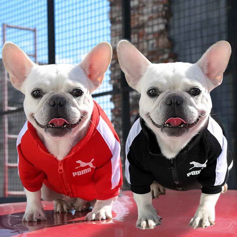 Baseball Jacket For (Small/Medium) Dogs