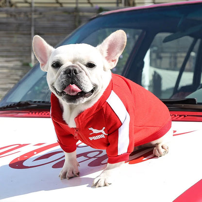 Baseball Jacket For (Small/Medium) Dogs