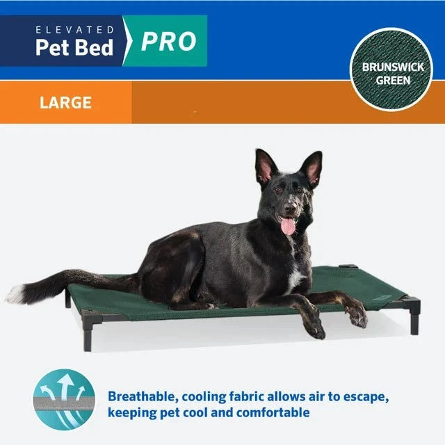 Large Elevated Dog Bed