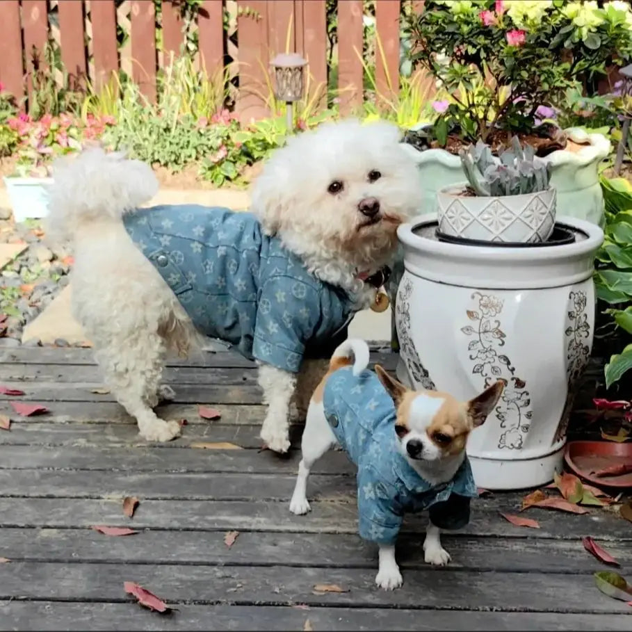 Cowboy Shirt Coat