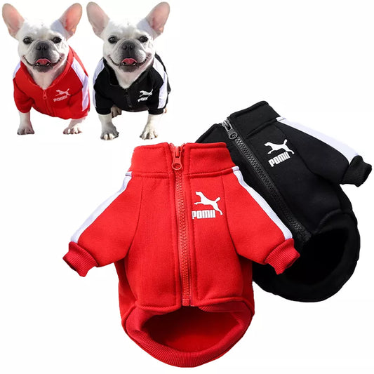 Baseball Jacket For (Small/Medium) Dogs