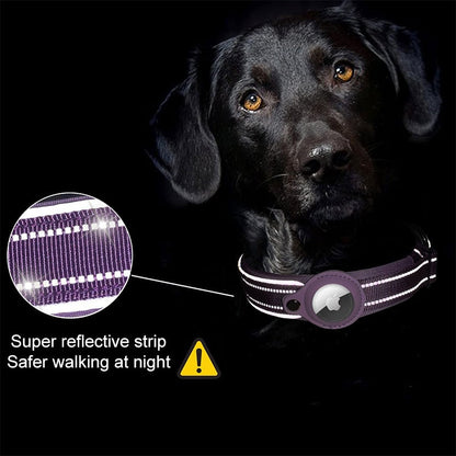 Waterproof Anti-Lost Dog Collar