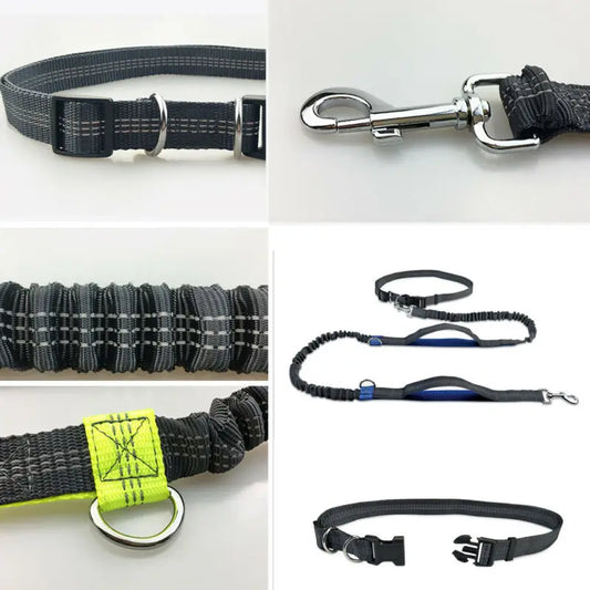 Dog Running Reflective Leash Harness